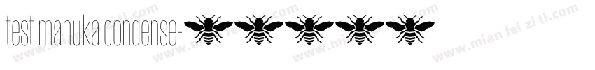 test manuka condense字体转换
